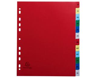 Intercalaires imprimés mensuel PP couleurs 12/100e - 12 positions - A4+ - Assorties vives
