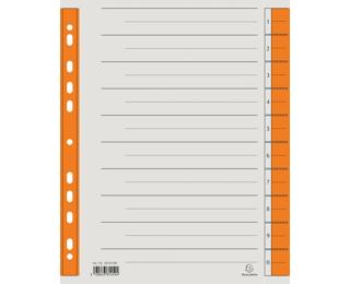 Farbige Trennblätter 29,75x24 cm, mikroperforiert, aus Karton 230g