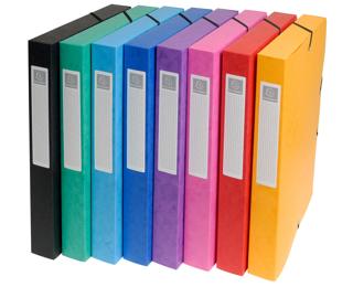 Archivbox aus Colorspan-Karton 600g, Rückenbreite 25mm mit Etikett, 25x33cm für DIN A4 