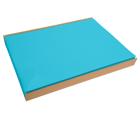 Schachtel mit 100 Tischsets, Spunbond, einfarbig - Format 30x40cm