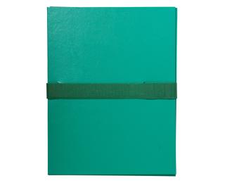 Faldone con dorso estensibile chiusura con scratch, carta balacron - 24x32cm - Verde