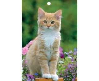 Plaque imprimée Classique 18 x 26 cm pour éphéméride 