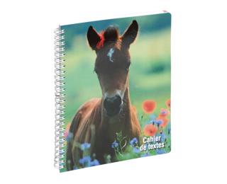 Cahier de textes Animaux poulain 17 x 22 cm - Visuel