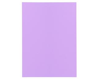 SUPER 60 - Pak van 250 inlegmappen - 22x31cm voor A4 - Lila
