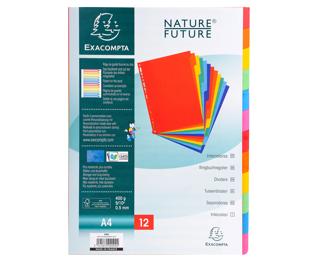 Intercalaires carte lustrée 400g 12 positions - A4 