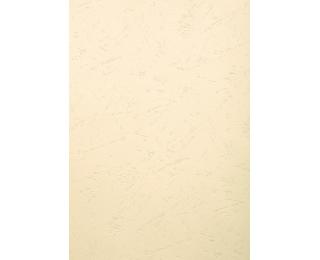 PAQUET DE 100 COUVERTURES GRAIN CUIR POUR RELIURE A3 