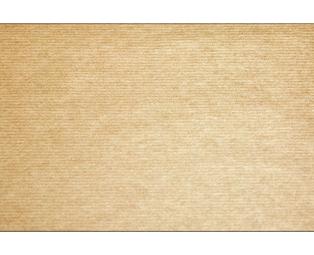 Barquette de 500 sets de table papier Tiss Lack, unis - Format 30x40 cm