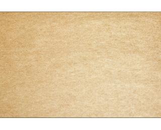 Pak van 500 placemats in Tiss Lack papier, effen - Formaat 30x40 cm 