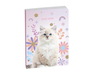 Agenda Forum Animaux Chat Blanc12 x 17 cm Journalier Août 2025 à Juillet 2026 - Visuel