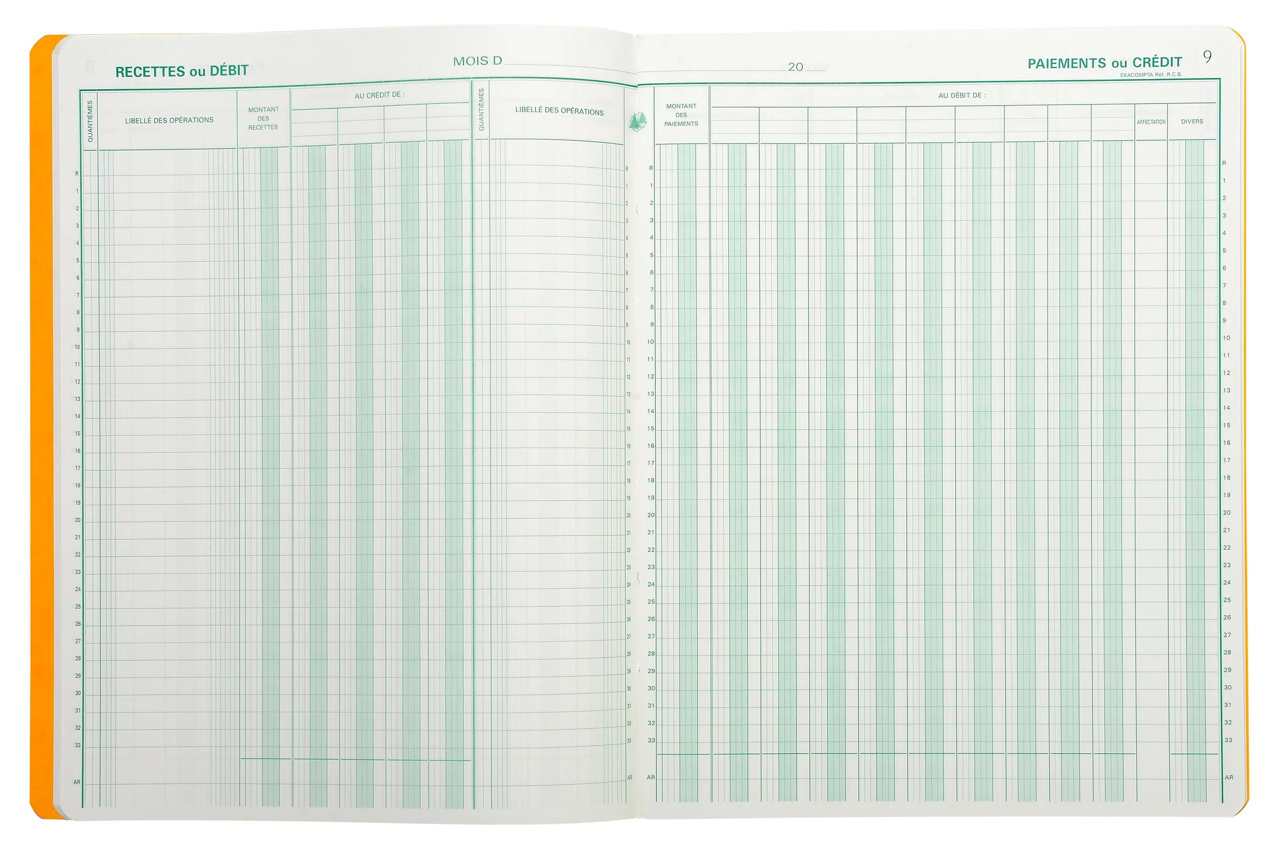 Cahier Piqué VENTES Exacompta 32x25 Cm - 15 Colonnes, Pages Numérotées, Pour Suivi Des Ventes Par Client - 80 Pages - 7