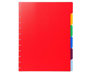 Tabbladen voor showalbum met ringen- gekleurde PP - 6 tabs - A4 