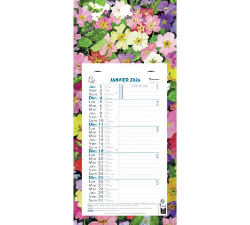 Exacompta 33214E - Calendario Mensual Con Hojas Desmontables (13 X