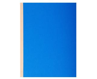 Pack of 10 cloth bound folders Forever® 320gsm - 24x32cm 