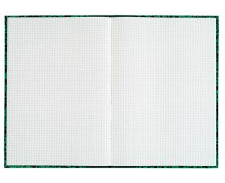 Brochure 170X110 Quadrillé 192 pages - Assortis marbrés
