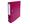 Fuchsia Fuchsia