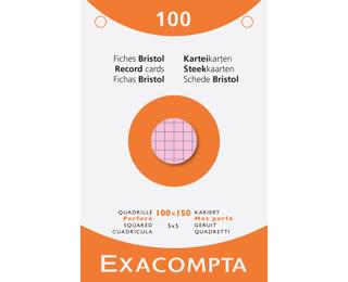 etui 100 steekkaarten bristol geruit 5x5 geperforeerd 100x150mm 