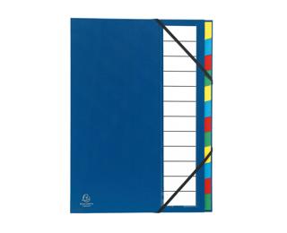 Cartella Ordonator copertina rigida con portaetichetta, con elastici e divisori, dorso estensibile, 12 scomparti - A4 - Colori assortiti