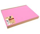 Barquette de 100 sets de table spundbond, unis - Format 30x40cm