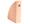 Corail