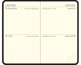 Recharge agenda de poche Mini 11 - 2 Jours 7,5 x 11,5 cm Janvier à Décembre 2026 - Tranche or