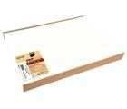 Barquette de 100 sets de table spundbond, unis - Format 30x40cm