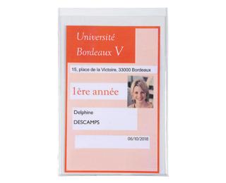 Etui de protection en PVC lisse 20/100e multi-usages - Cristal