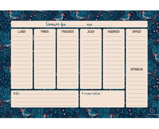 Hebdo Planner Color Design 26,5 x 18 cm - Visuel