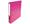 Fuchsia Fuchsia