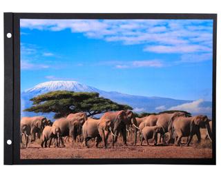 Recharge 10 feuillets en carte noire rigide pour album photos à vis - 30 ,7x21,6 cm 