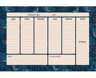 Hebdo Planner Color Design 26.5 x 18 cm. - Visuel