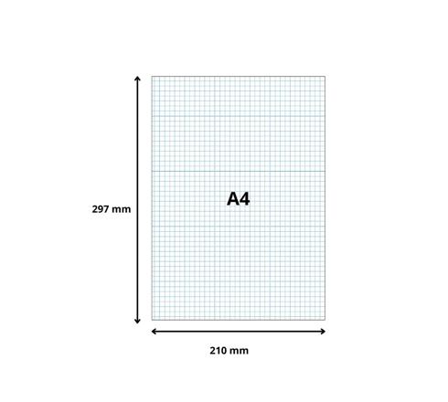 Étui De 100 Fiches Bristol Exacompta - Format 210x297 Mm - Réf. 13306E - Blanc - Neuf