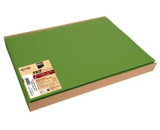 100 Spunbound Placemats 30x40