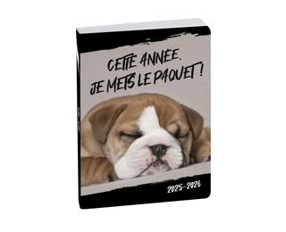 Agenda Forum Funny Pets Chien 12 x 17 cm Journalier Août 2025 à Juillet 2026 - Visuel