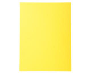 Pk 100 Folders Forever A4 170gsm 
