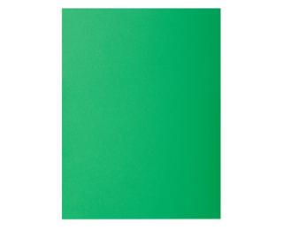 Pack of 10 square cut folders ROCK'S 210 - 24x32cm - Pine green