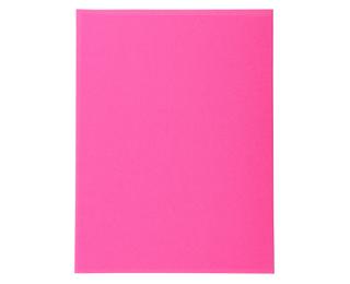Paquet de 100 chemises Forever® 170 100% recyclé - 24x32cm 