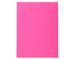 Fuchsia Fuchsia