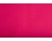 Fuchsia Fuchsia