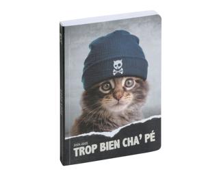 Agenda Forum Funny Pets 12 x 17 cm Journalier Août 2024 à Juillet 2025 - Visuels assortis