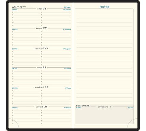 Exacompta 17270E Cassandra SL - Agenda Settimanale Con 17 Tasche, Finitura In Plastica, 18 X 9,40 X 0,80 Cm, Colori Assortiti