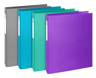 Festes Ringbuch A4, 4 Ringe 30mm, Teksto - Farben sortiert