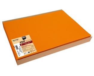 Barquette de 100 sets de table spundbond, unis - Format 30x40cm