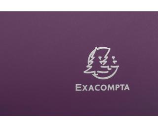 Exacompta Titane Elasticated Filing Box, 40 mm Spine, Recycled PP 