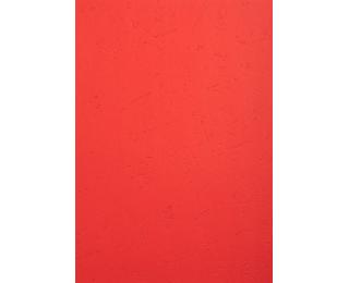 Paquet de 100 couvertures Grain cuir pour reliure A4 - Rouge