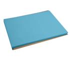 Barquette de 500 sets de table papier Tiss Lack, unis - Format 30x40 cm