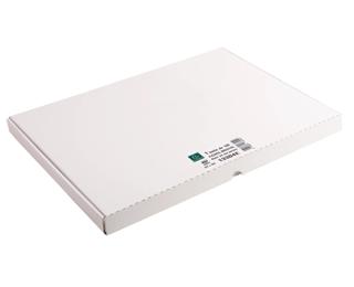 Étui de 100 fiches - bristol uni non perforé 297x420mm 