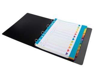 Campus® Tabbladen in PP met onbedrukte tabs- 12 tabs - A4 maxi 