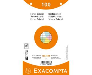 Pak 100 steekkaarten in folie - bristol geruit 5x5 geperforeerd - 125x200mm 