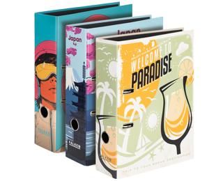 Cartella a leva A4 8cm Mix assortiti 