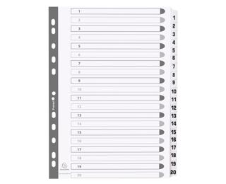 Divisori numerici con tasti plastificati cartoncino 160g/mq - 20 tasti 1 - 20 - A4
